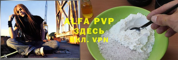 гашик Новодвинск