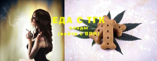 гашик Новодвинск