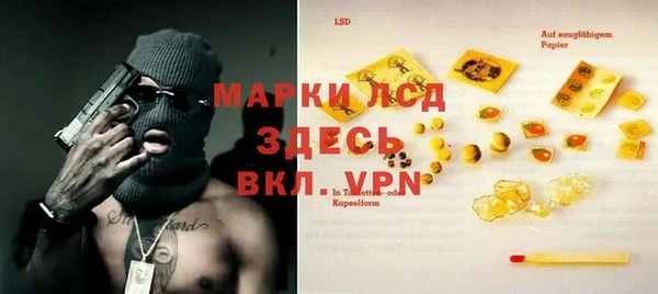гашик Новодвинск