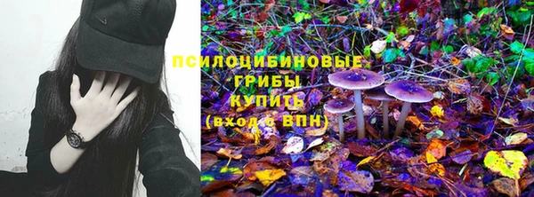 гашик Новодвинск