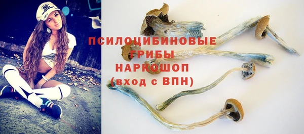 гашик Бабаево