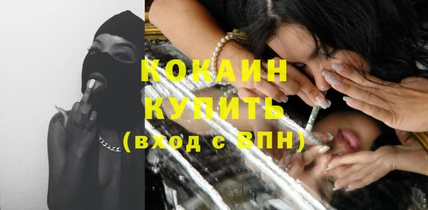 гашик Новодвинск